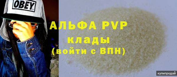 хмурый Арсеньев