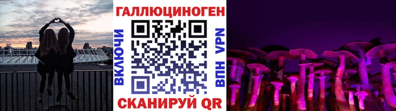 купить наркотик  гидра ТОР  Галлюциногенные грибы прущие грибы  Сургут 
