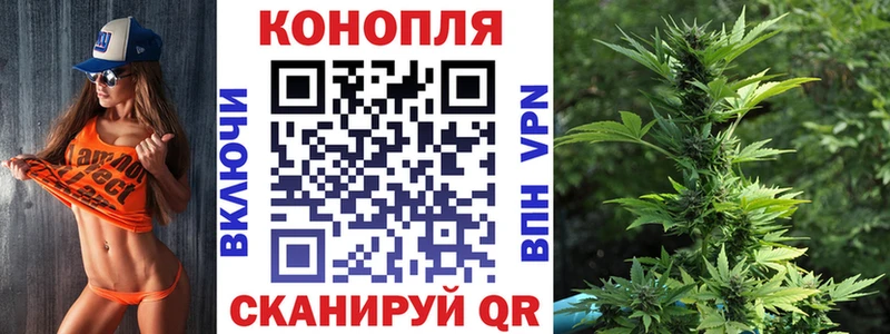 Конопля Ganja Сургут